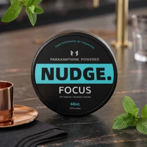 Nudge FOCUS.